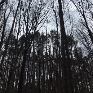 Meet your Posher, Joy